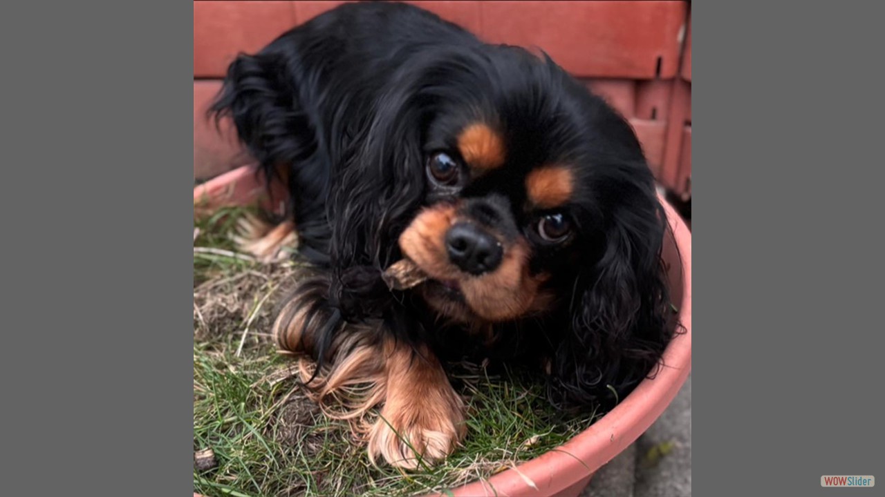 593291331_122251301888251362_8934222889905169151_n