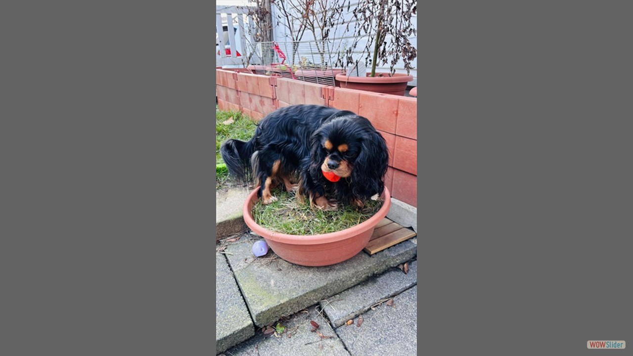 600373246_122253656786251362_4956723840691718004_n