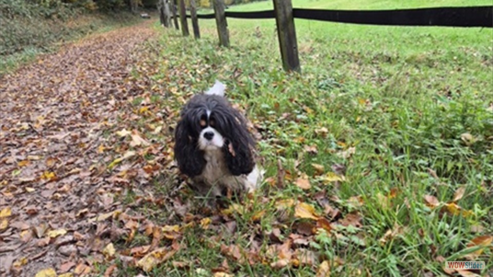 Screenshot_20251017_192303_Gallery