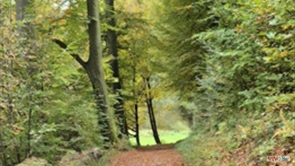 Screenshot_20251017_210719_Gallery