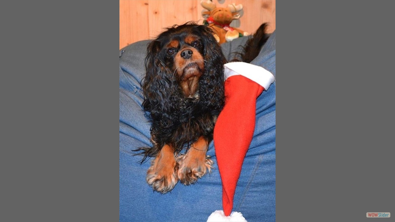 Screenshot_20251203_141415_WhatsApp