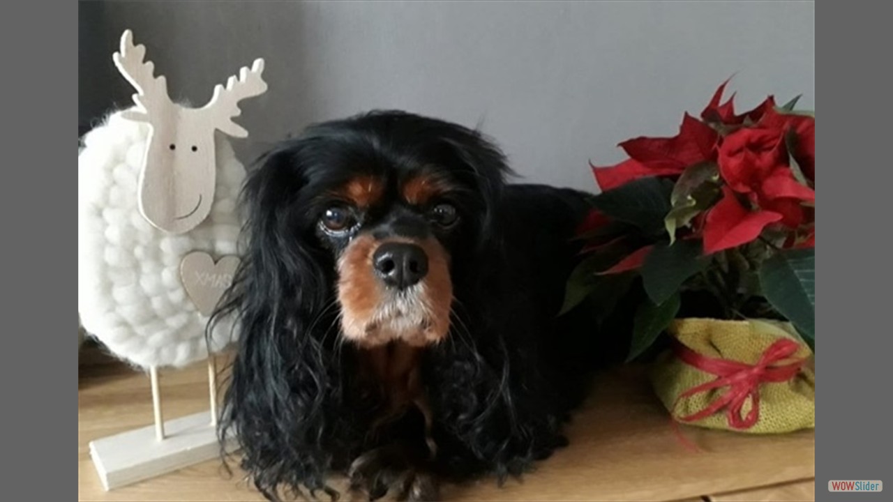 Screenshot_20251203_141434_WhatsApp