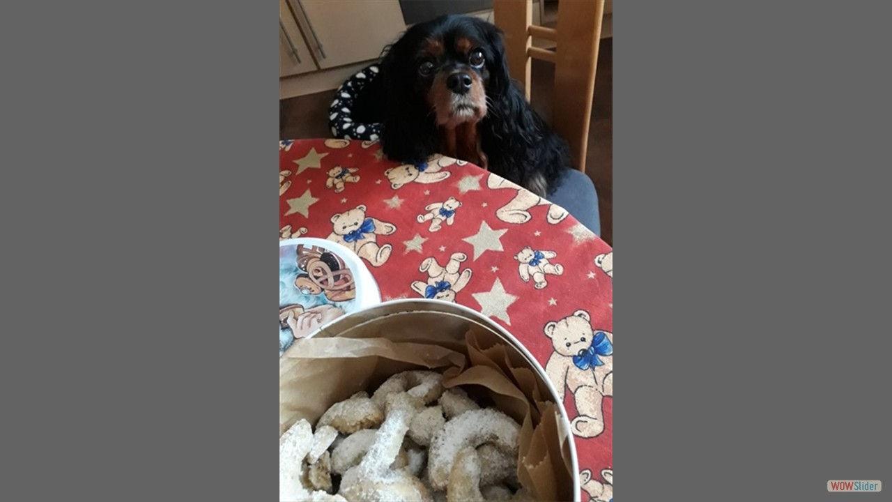 Screenshot_20251203_141514_WhatsApp