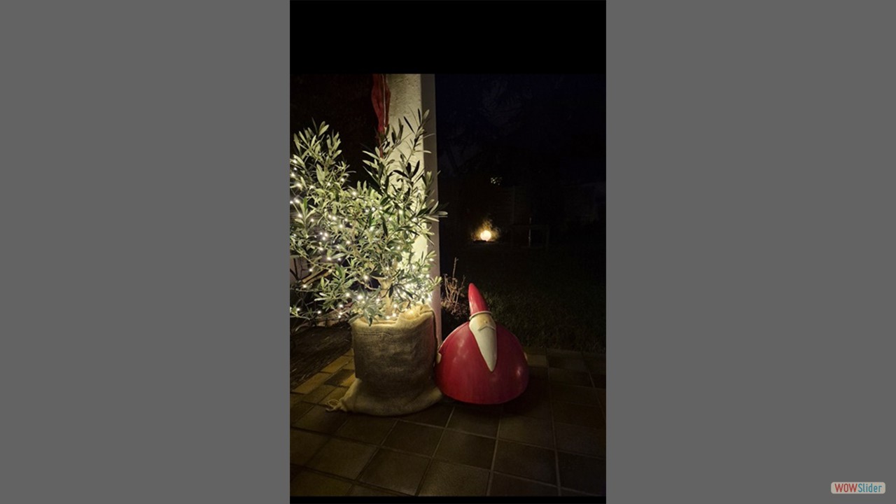 Screenshot_20251204_185524_Gallery