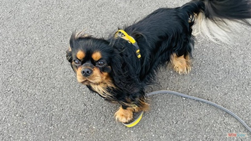 572390280_122246809592251362_3920024759404178635_n