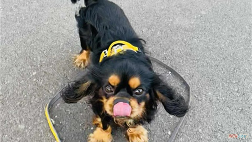 574085882_122246809892251362_2692464613084058456_n