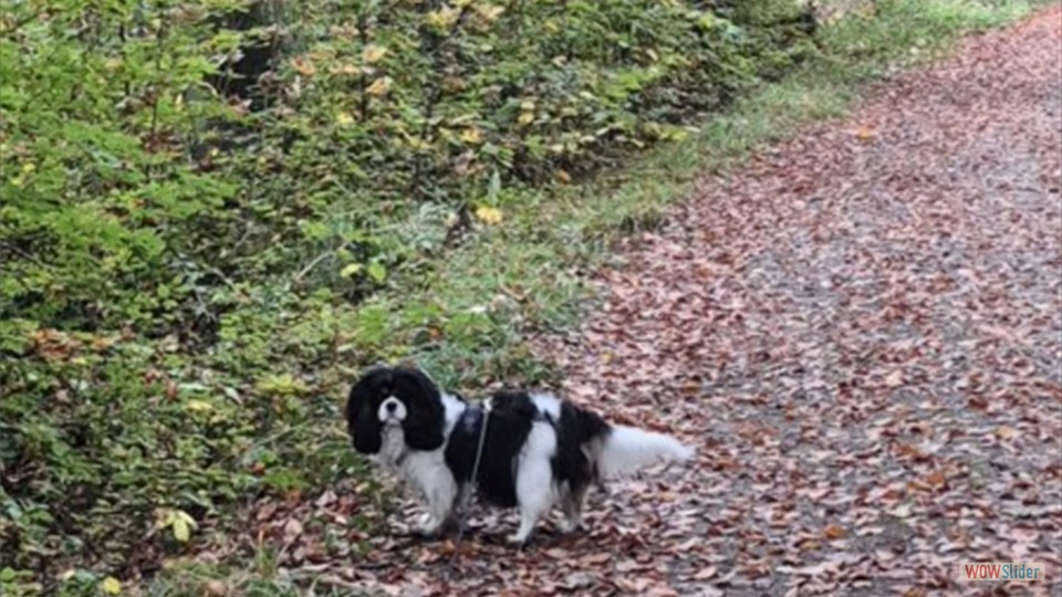 Screenshot_20251017_192230_Gallery